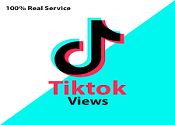 TIKTOK VIEWS